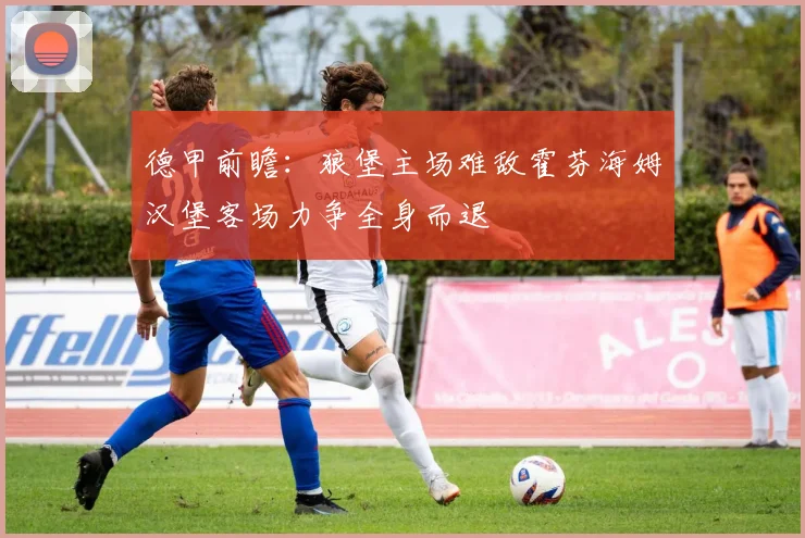 德甲前瞻：狼堡主场难敌霍芬海姆汉堡客场力争全身而退