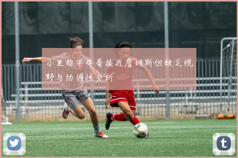 小里称字母哥接近詹姆斯但缺乏视野与协调性分析