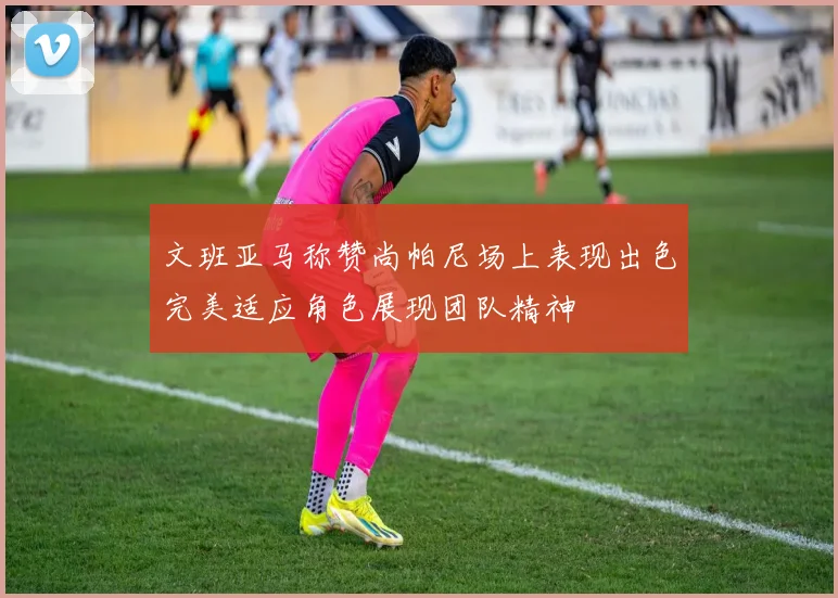 文班亚马称赞尚帕尼场上表现出色完美适应角色展现团队精神
